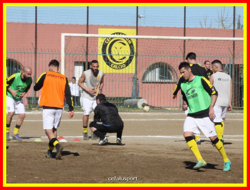 190310 Cephal_Torrenov 003_tn.jpg